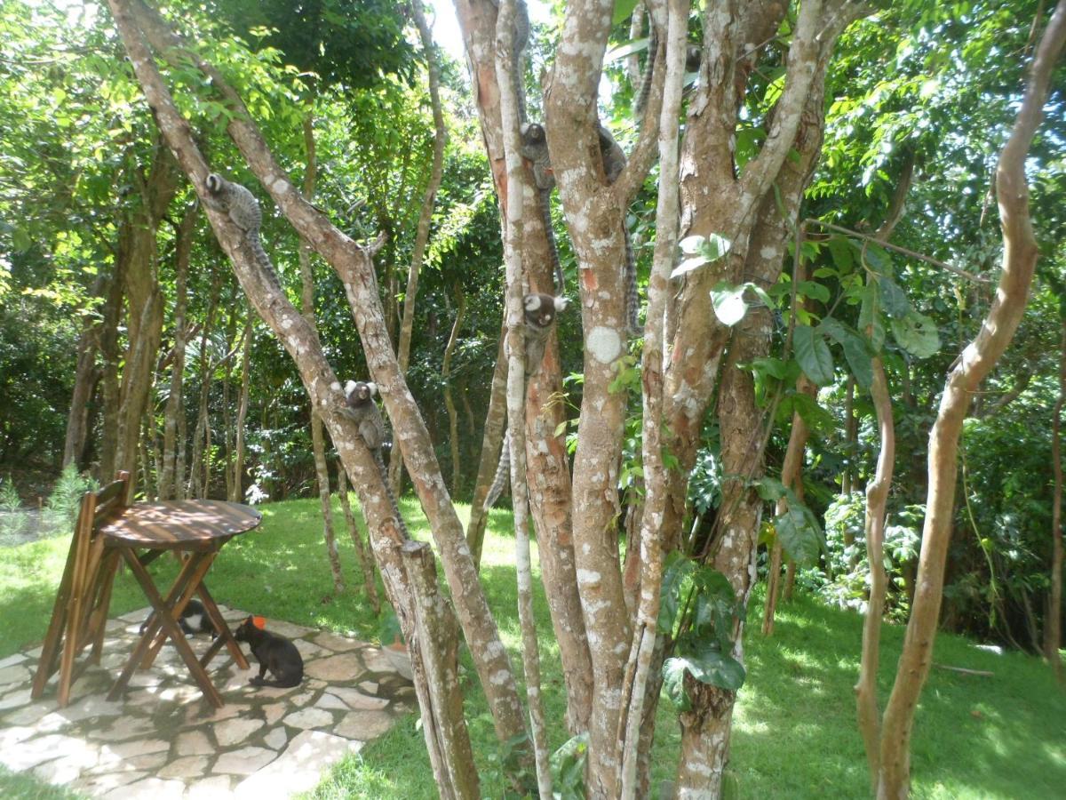 Casa Hermosa II Praia de Pipa 外观 照片